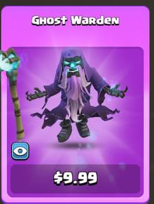 اسکین Ghost Warden