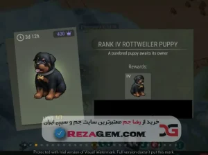💎 RANK PUPPY