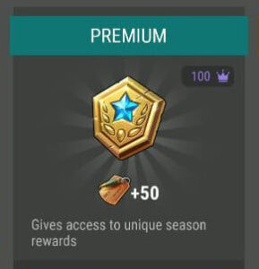 💎 PREMIUM