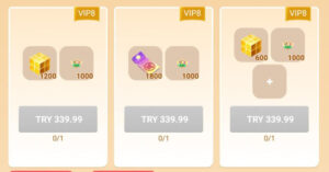 💎 VIP 8