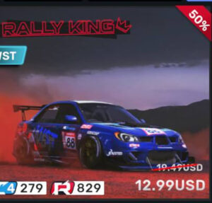 ♥️ RALLY KING