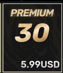 💎30