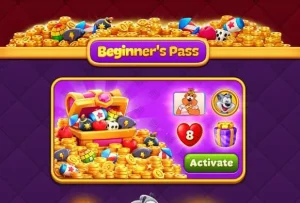 ⭐️ Beginners Pass 3$
