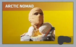 ⭐️ ARCTIC NOMAD