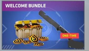 ⭐️ WELCOME BUNDLE