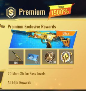 ⭐️ Premium Pass