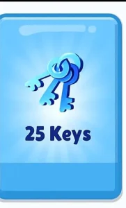 🔑 25 Key