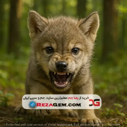 خرید د ولف The Wolf