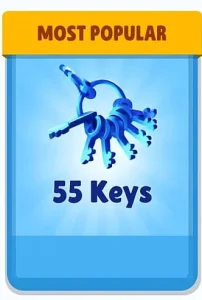 🔑 55 Key