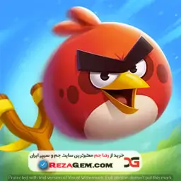 خرید بازی انگری بردز 2