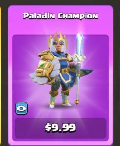 اسکین Paladin Champion